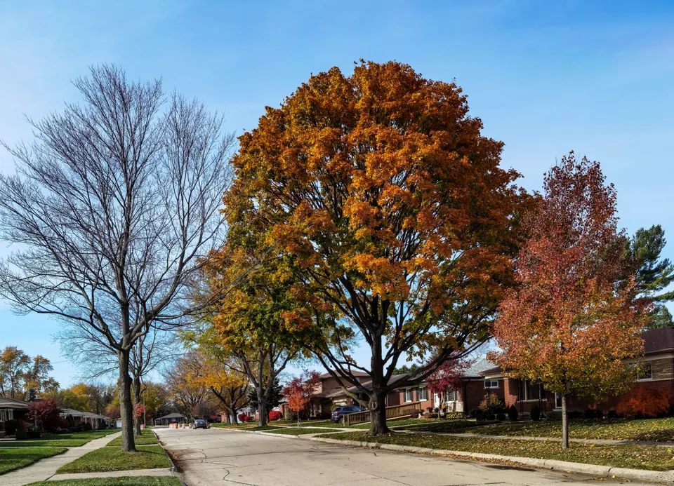 towing service Wahpeton
